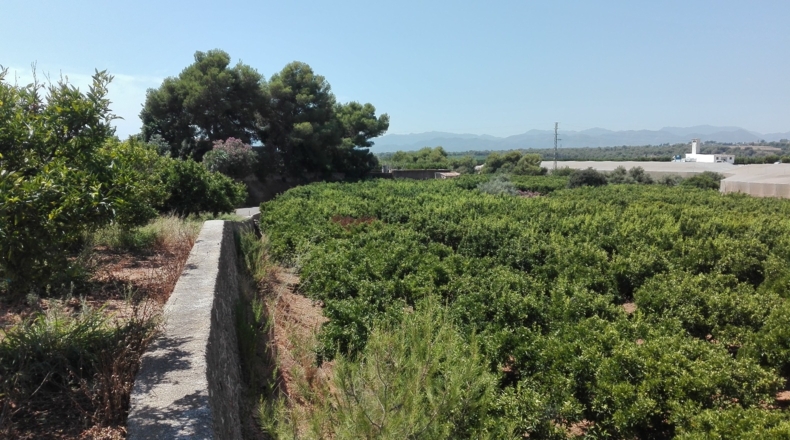 Castellón - Castelló de la Plana - 49860m2