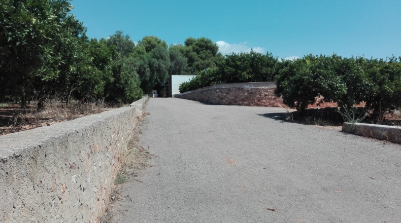 Castellón - Castelló de la Plana - 49860m2
