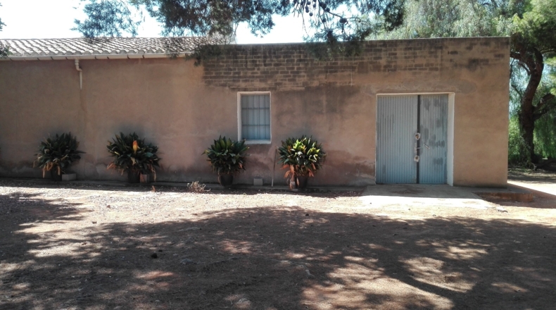 Castellón - Castelló de la Plana - 49860m2