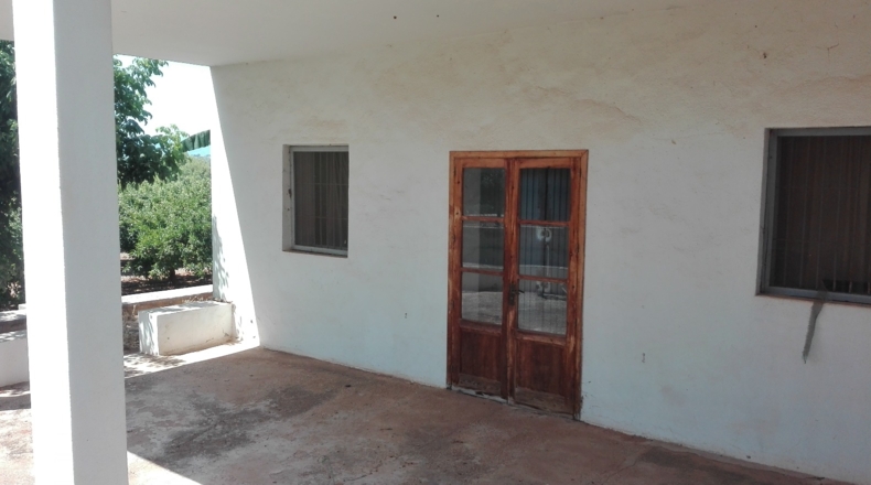 Castellón - Castelló de la Plana - 49860m2
