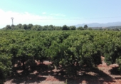 Finca rústica en venda a la CV-189, Castelló de la Plana, ref.: TR44495 foto
