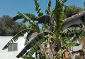 Finca rústica en venda a la CV-189, Castelló de la Plana, ref.: TR44495 foto