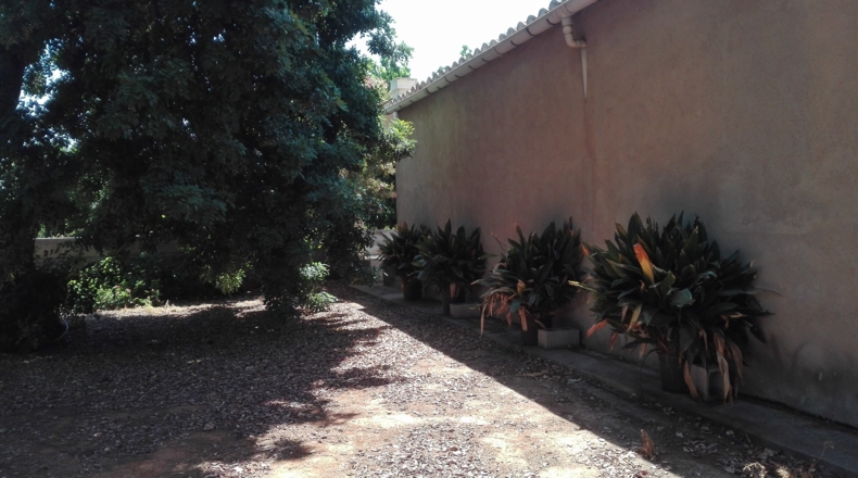 Castellón - Castelló de la Plana - 49860m2