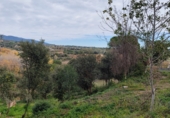 Parcel·la urbanitzable en venda a la Carrer Pedraforca, Santa Eulàlia de Ronçana, ref.: TR44500 foto