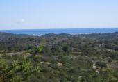 Parcel·la urbanitzable en venda a la Coll dels Frares, Cervera del Maestrat, ref.: TR44512 foto