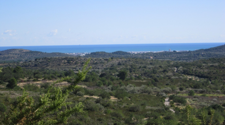 Castellón - Cervera del Maestre - 47000m2