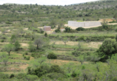 Parcel·la urbanitzable en venda a la Coll dels Frares, Cervera del Maestrat, ref.: TR44512 foto