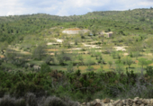 Parcel·la urbanitzable en venda a la Coll dels Frares, Cervera del Maestrat, ref.: TR44512 foto