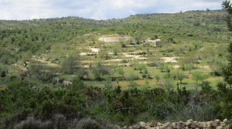 Castellón - Cervera del Maestre - 47000m2