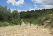 Parcel·la urbanitzable en venda a la Coll dels Frares, Cervera del Maestrat, ref.: TR44512 foto