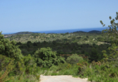 Parcel·la urbanitzable en venda a la Coll dels Frares, Cervera del Maestrat, ref.: TR44512 foto