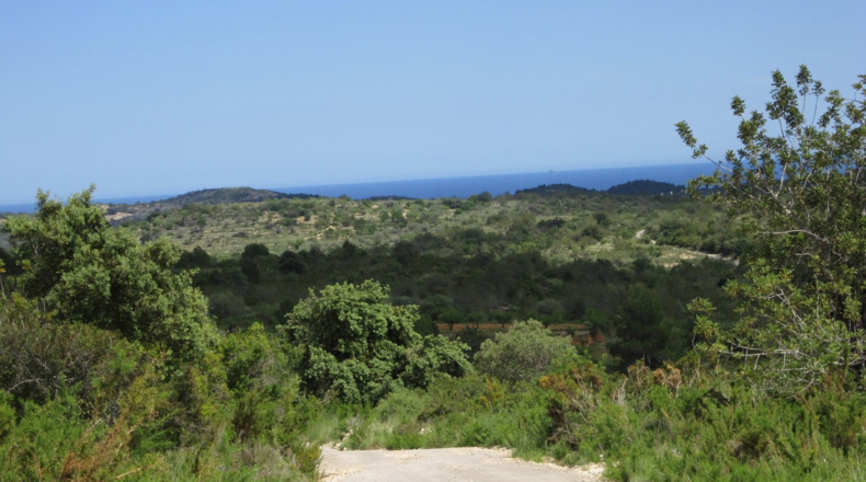 Castellón - Cervera del Maestre - 47000m2