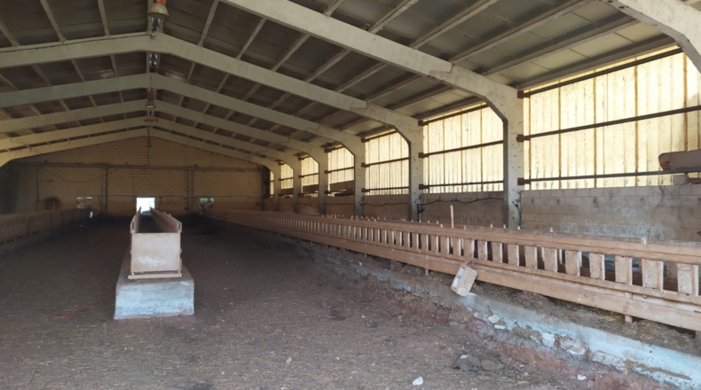 Burgos - Salas de los Infantes - 150000m2