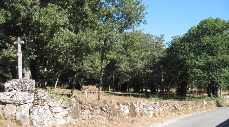Orense - Celanova - 7750m2