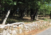 Sòl urbà en venda a la Estrada de Ourense, Celanova, ref.: TR44525 foto