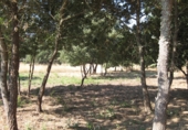 Sòl urbà en venda a la Estrada de Ourense, Celanova, ref.: TR44525 foto