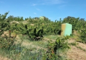 Non-developable land for sale on Los burcios, Gargüera de la Vera, ref: TR44531 photo