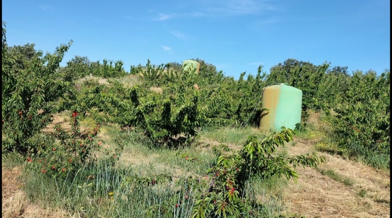 Cáceres - Gargüera de la Vera - 9000m2