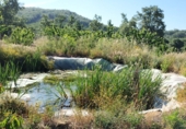 Non-developable land for sale on Los burcios, Gargüera de la Vera, ref: TR44531 photo
