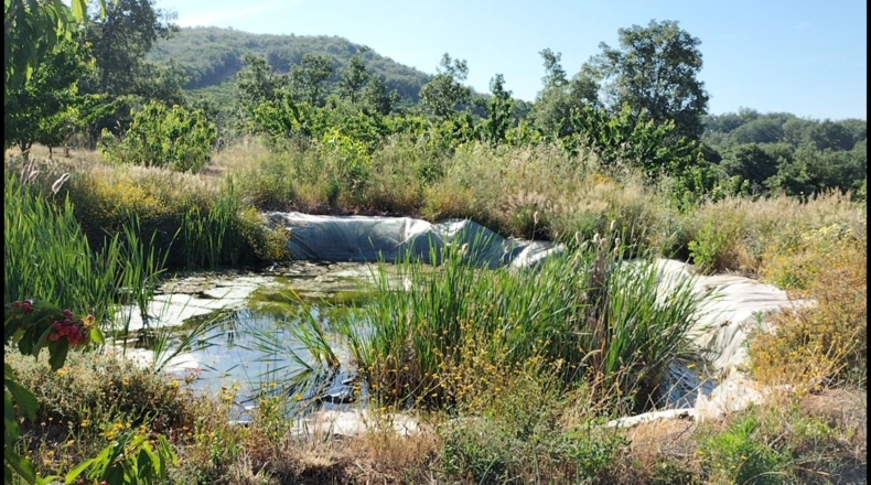 Cáceres - Gargüera de la Vera - 9000m2