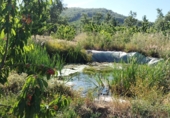 Non-developable land for sale on Los burcios, Gargüera de la Vera, ref: TR44531 photo