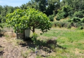 Non-developable land for sale on Pajaritos, Gargüera de la Vera, ref: TR44527 photo