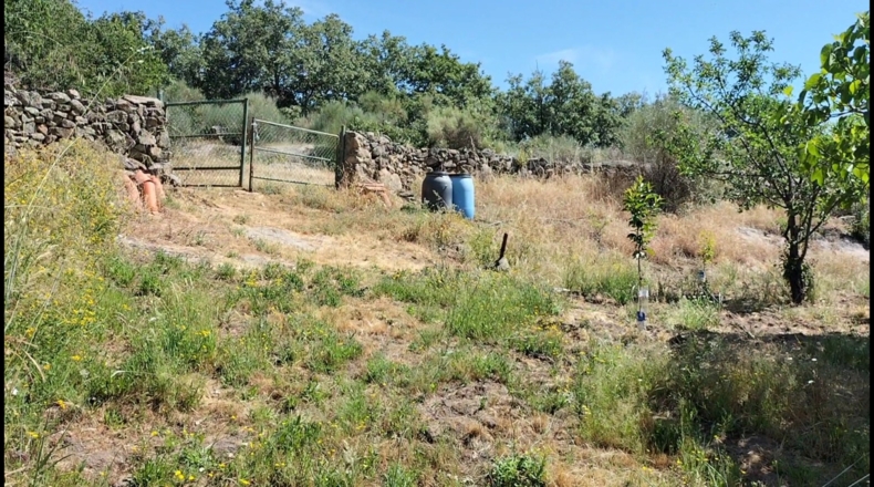 Cáceres - Gargüera de la Vera - 1300m2