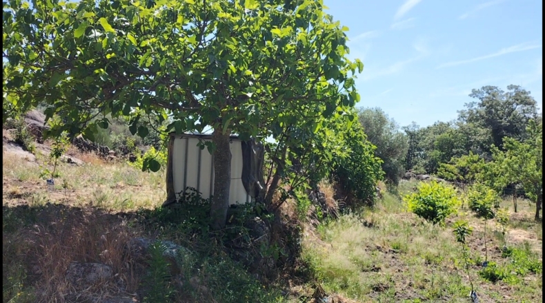 Cáceres - Gargüera de la Vera - 1300m2