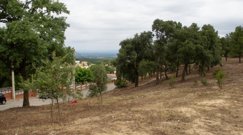 Gerona - Maçanet de la Selva - 900m2