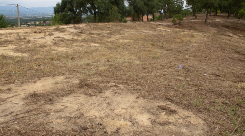 Gerona - Maçanet de la Selva - 900m2