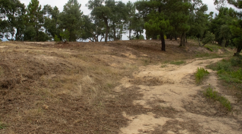 Gerona - Maçanet de la Selva - 900m2