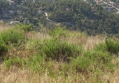 Sòl urbà en venda a la Carrer Serra Llarg, Olesa de Bonesvalls, ref.: TR44701 foto