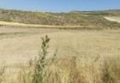 Non-developable land for sale on Partida Cañailla de la Cruz, Barajas de Melo, ref: TR42070 photo