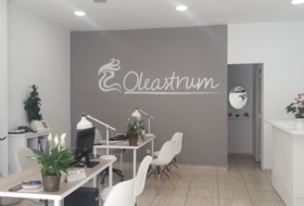 OLEASTRUM GESTION INTEGRAL INMOBILIARIA foto