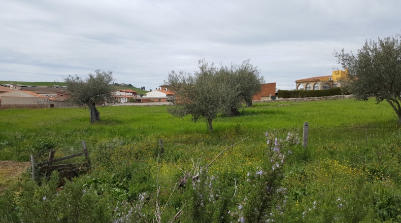Toledo - Valdeverdeja - 4850m2