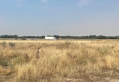 Terreno no urbanizable en venta en la CL-600, Simancas, ref: TR44743 foto