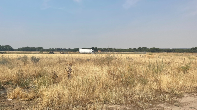 Valladolid - Simancas - 700m2