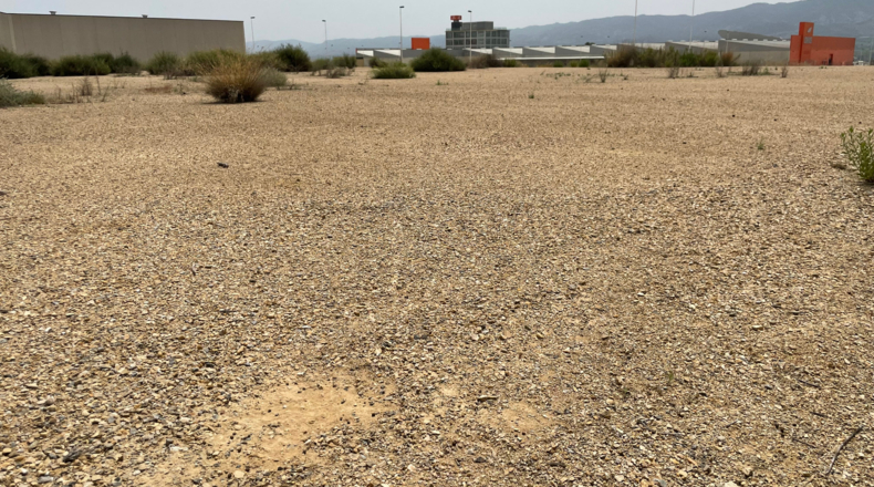 Murcia - Librilla - 3060m2