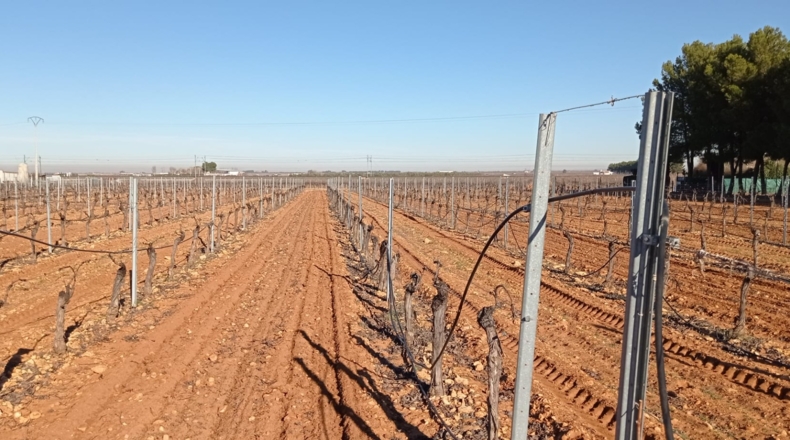 Ciudad Real - Socuéllamos - 14400m2