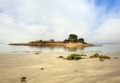 Land with ruins for sale on Resille, ref: TR49362 photo