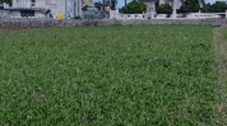 La Coruña - Leborís - 950m2