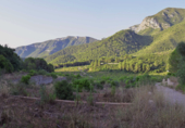 Land suitable for development for sale on Collado del Barranco Hondo, Favara, ref: TR44816 photo