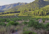 Land suitable for development for sale on Collado del Barranco Hondo, Favara, ref: TR44816 photo
