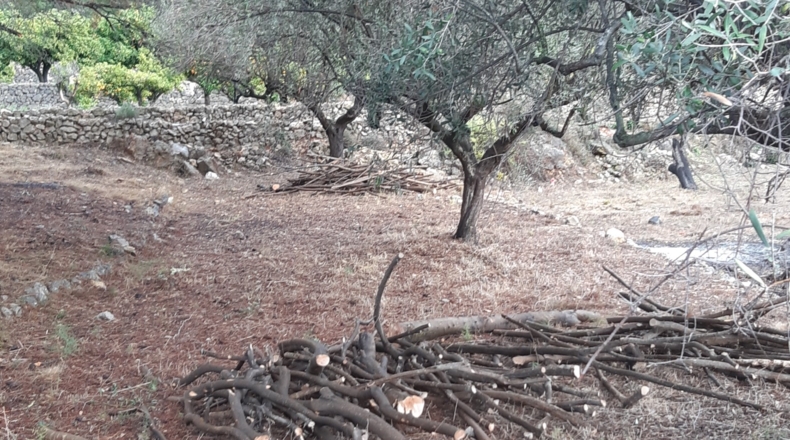 Alicante - Murla - 12510m2