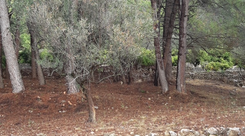 Alicante - Murla - 12510m2