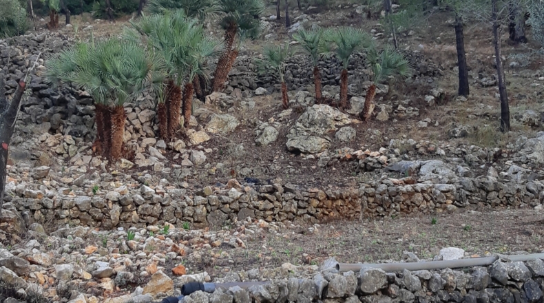Alicante - Murla - 12510m2