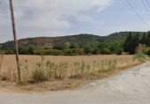 Non-developable land for sale on Pou del Merlí, ref: TR45779 photo