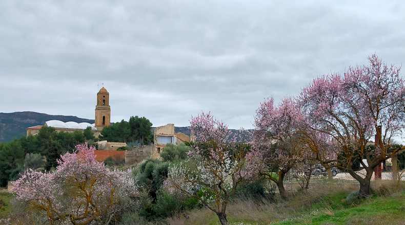 Tarragona - Corbera d'Ebre - 39000m2