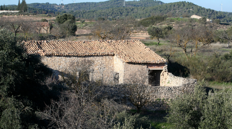 Tarragona - Corbera d'Ebre - 39000m2