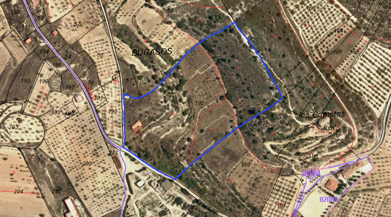 Tarragona - Corbera d'Ebre - 39000m2